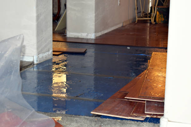 Professional Burst Pipe Cleanup technician working in Huntington, MA